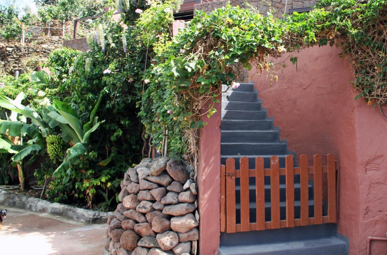 Tonono'S Village Santa Maria de Guia de Gran Canaria Экстерьер фото