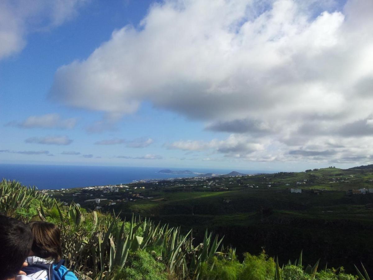 Tonono'S Village Santa Maria de Guia de Gran Canaria Экстерьер фото