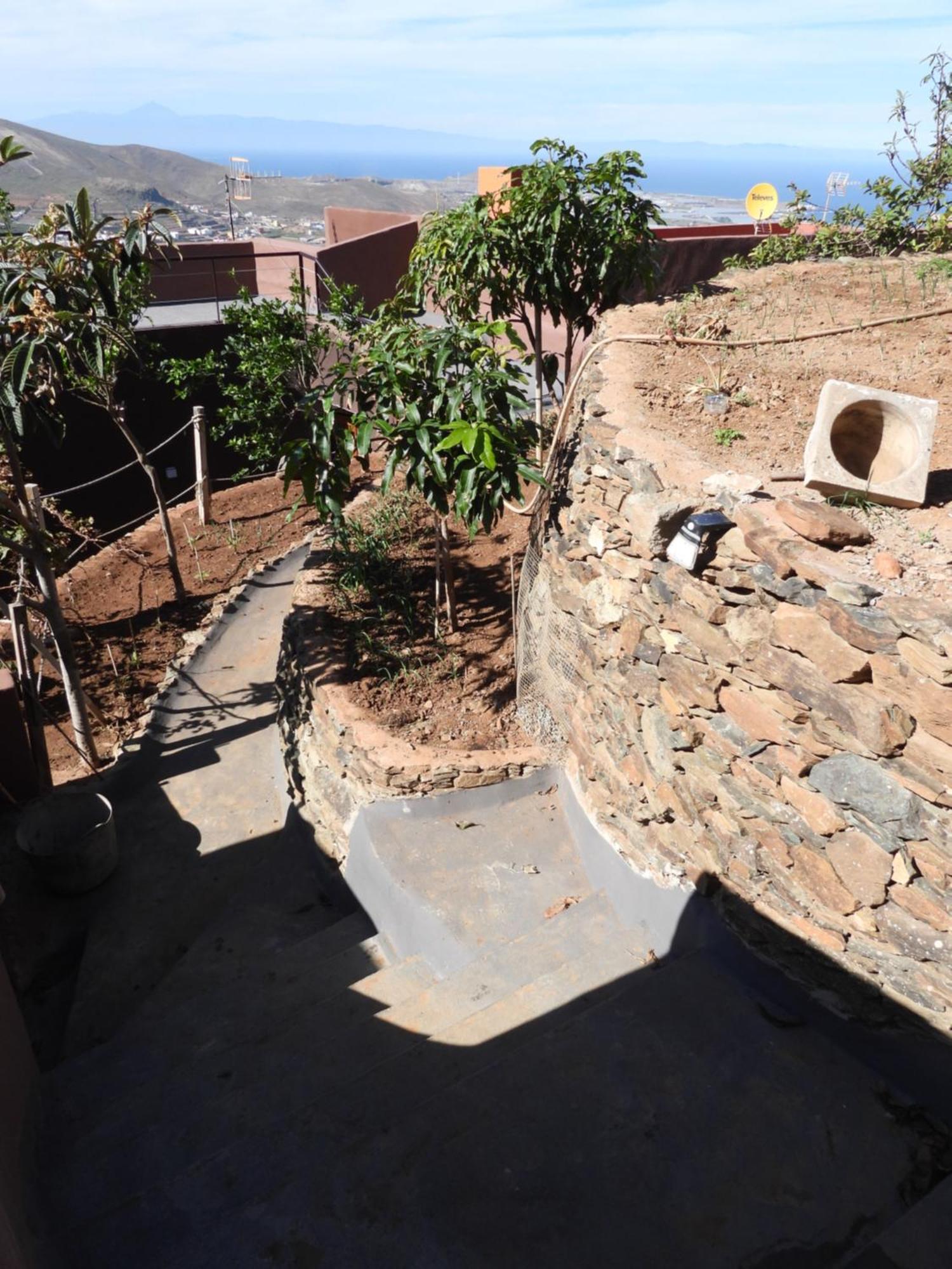 Tonono'S Village Santa Maria de Guia de Gran Canaria Экстерьер фото