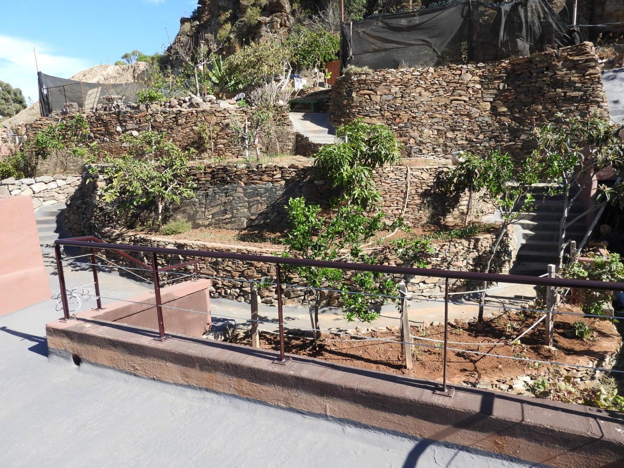 Tonono'S Village Santa Maria de Guia de Gran Canaria Экстерьер фото
